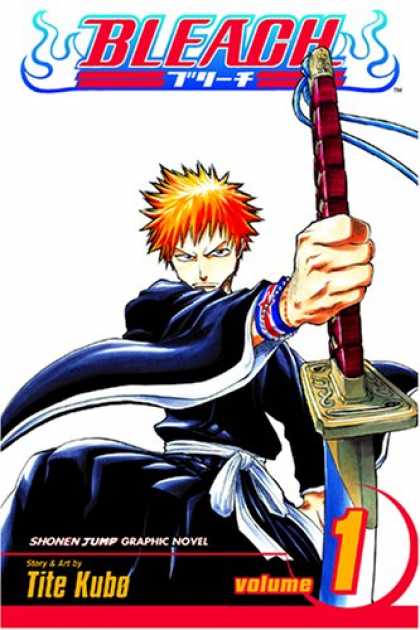 Bleach Vol 1