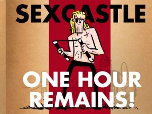 sexcastle
