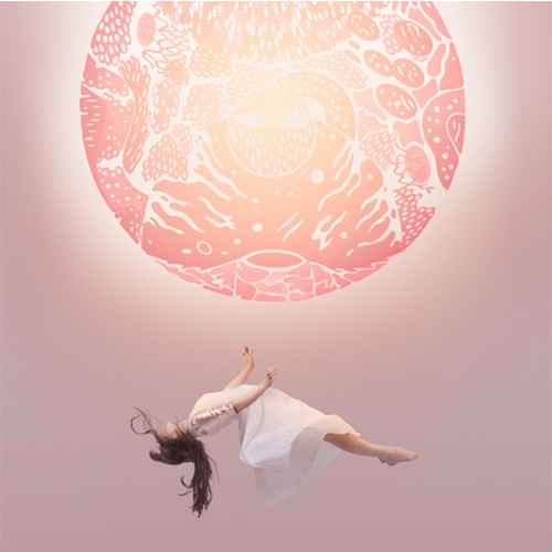 purity-ring